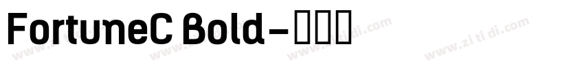 FortuneC Bold字体转换